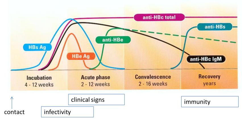 VIDAS Hepatitis panel, hepatitis diagnosis and testing