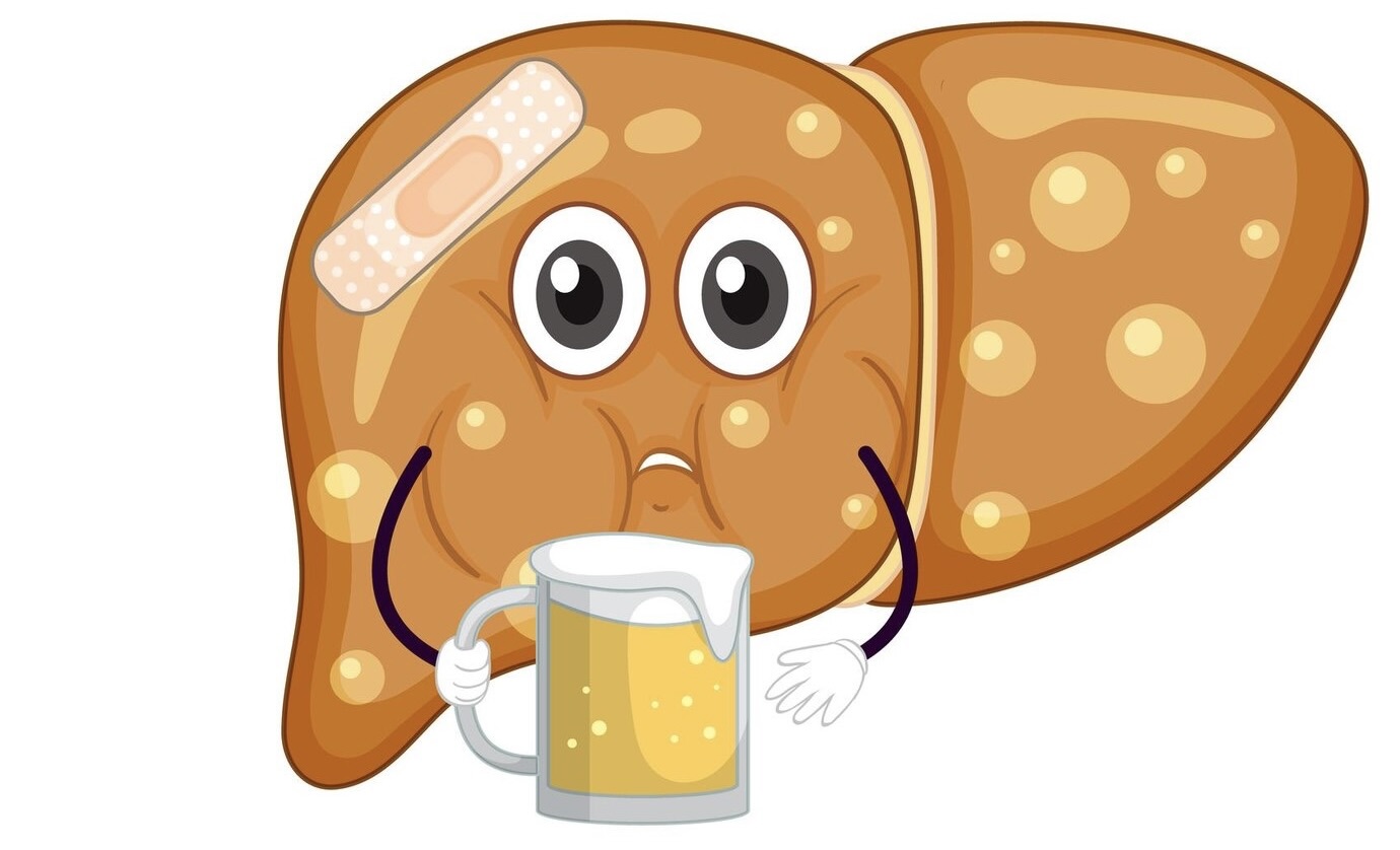 Animated liver with alcohol
